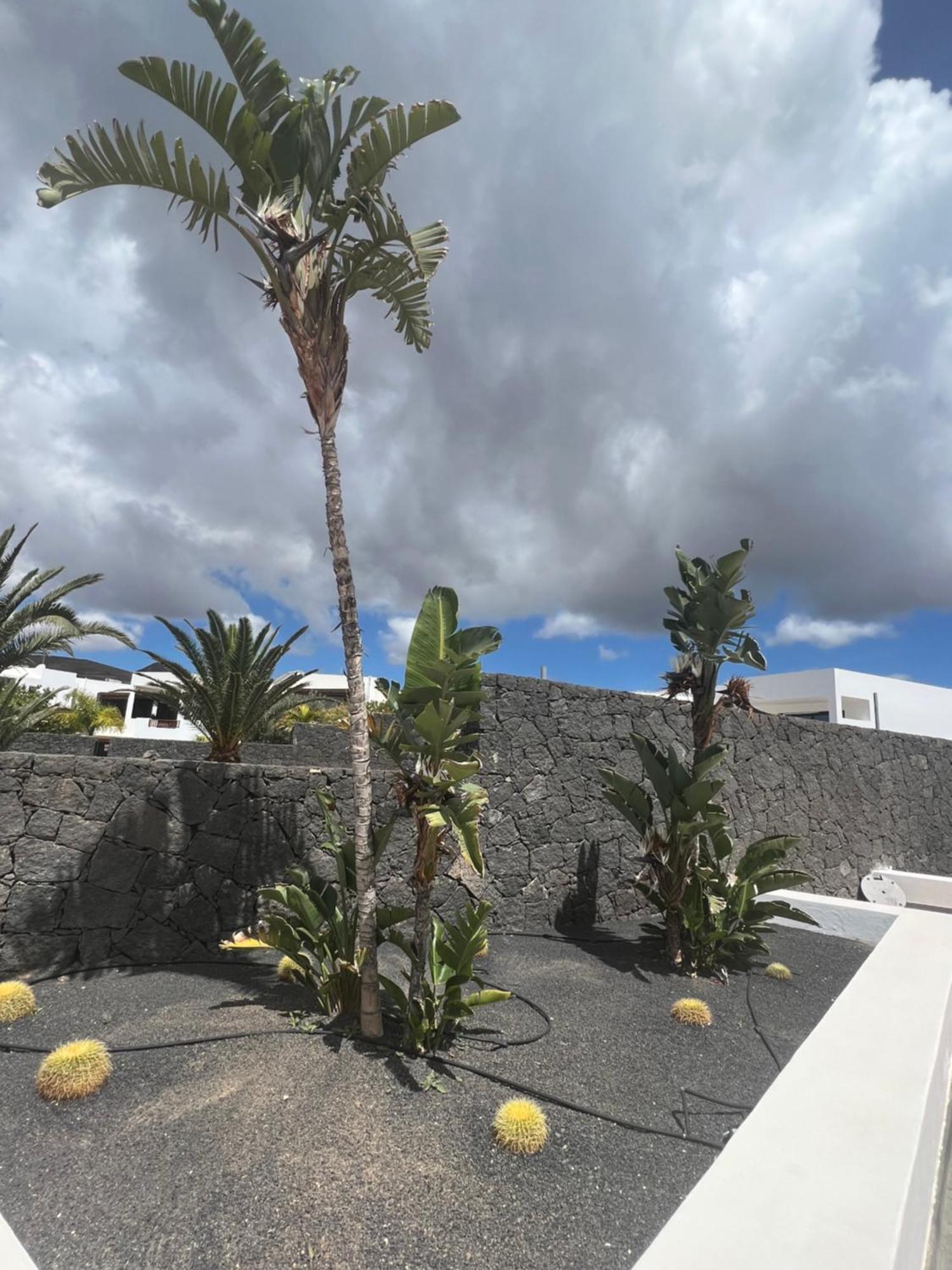 Villa Dedalos Puerto Calero Kültér fotó